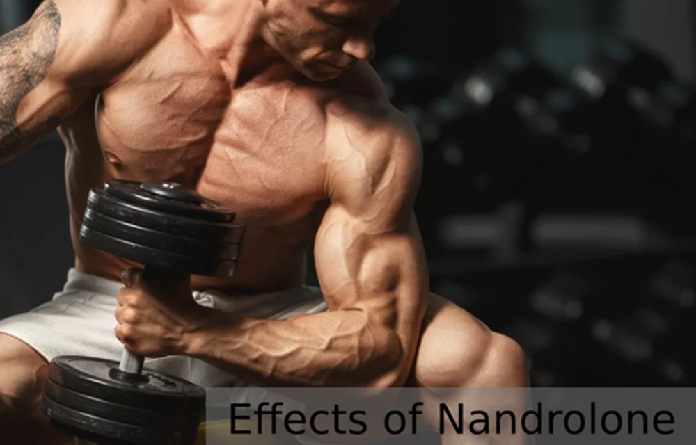Effects of Nandrolone